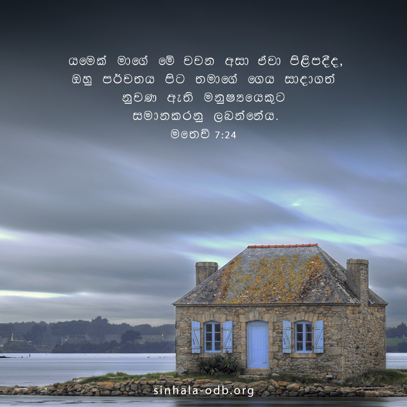 Share ODB 2018-11-28