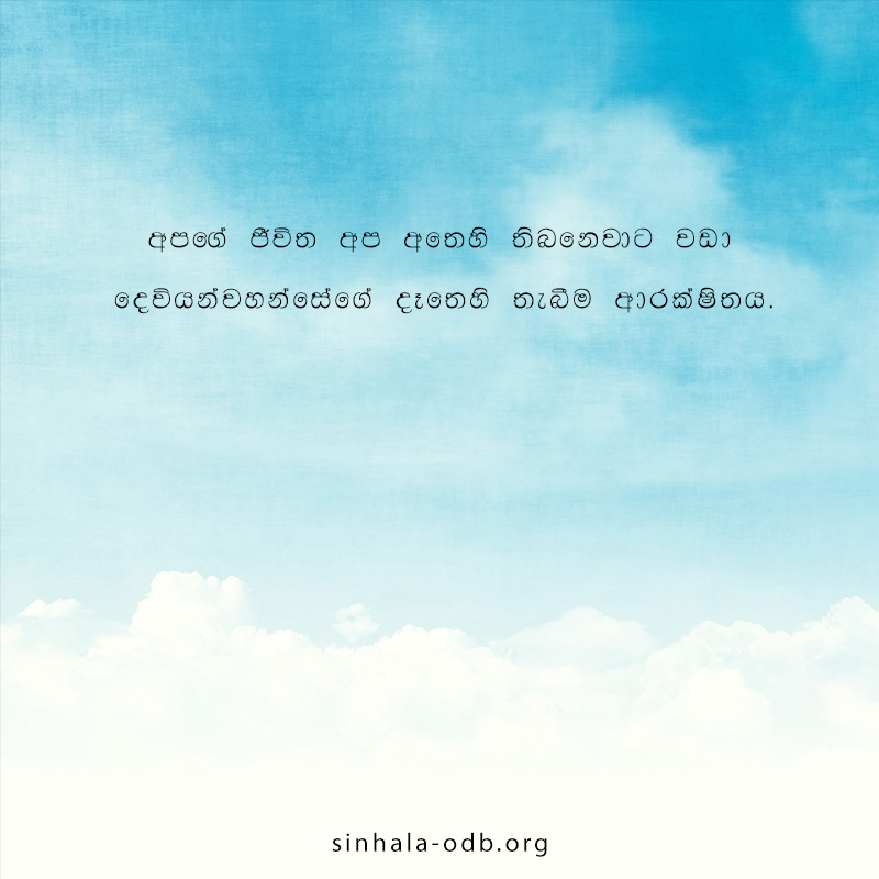 Share ODB 2018-11-29