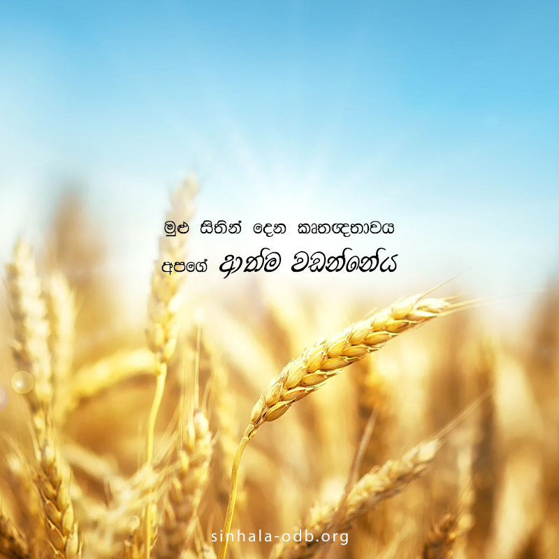 Share ODB 2018-11-30