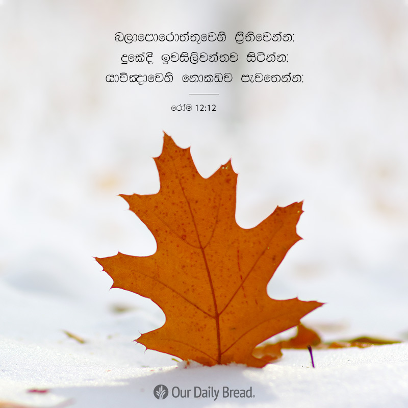 Share ODB 2018-12-01