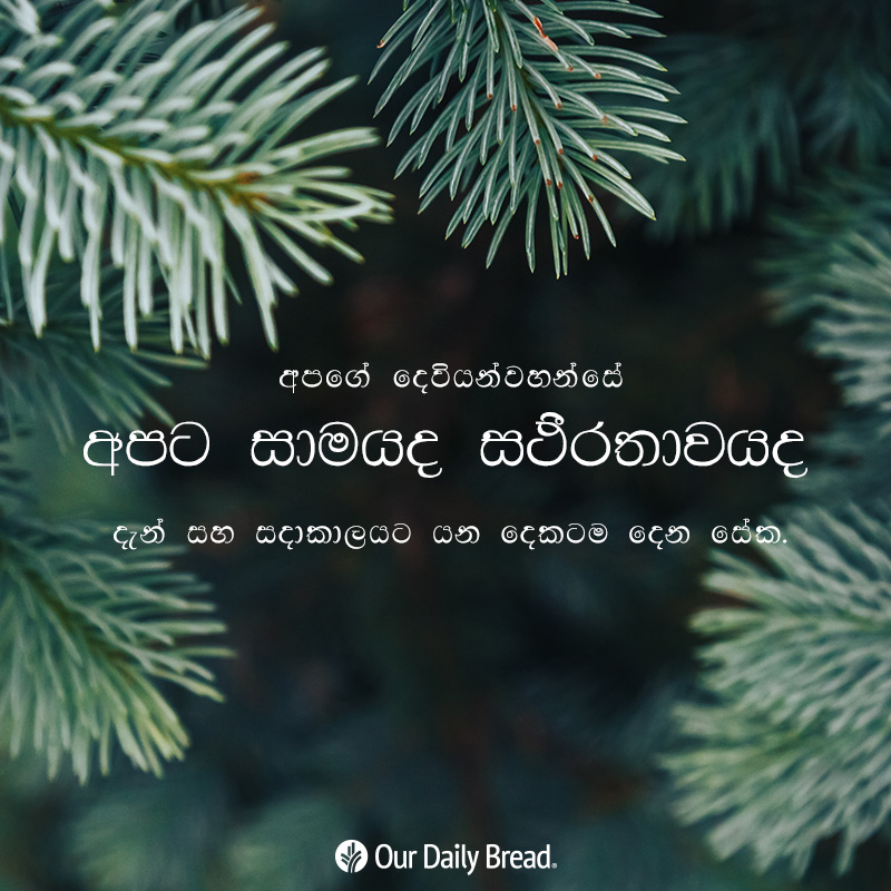 Share ODB 2018-12-02