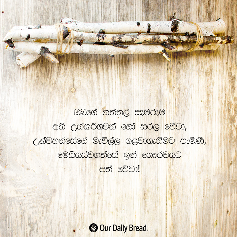 Share ODB 2018-12-04