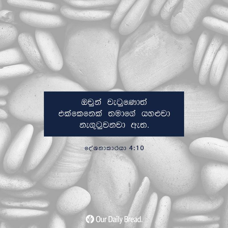 Share ODB 2018-12-05