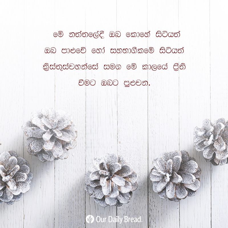 Share ODB 2018-12-06