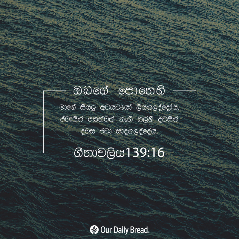 Share ODB 2018-12-07