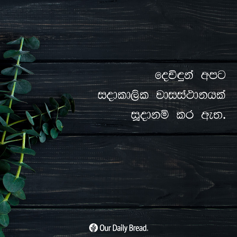 Share ODB 2018-12-08