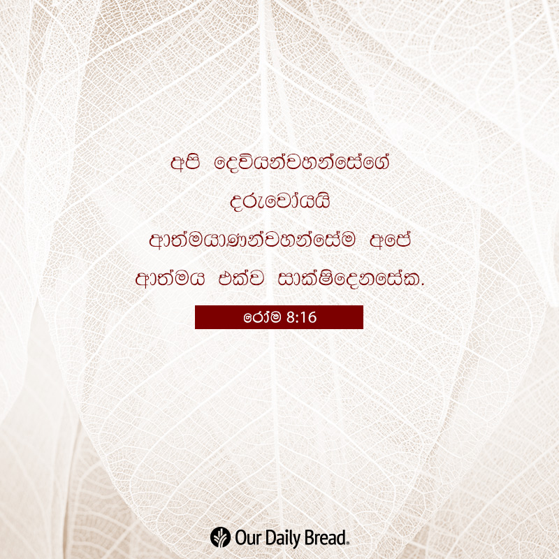 Share ODB 2018-12-10