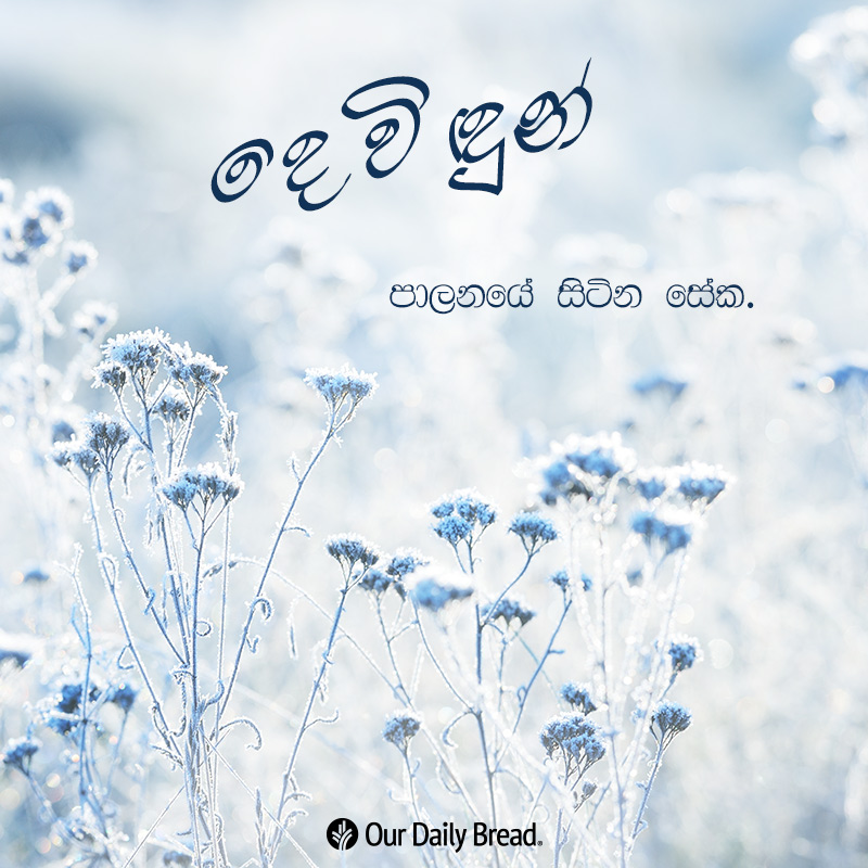 Share ODB 2018-12-11