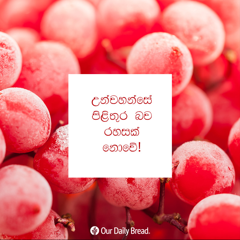 Share ODB 2018-12-12