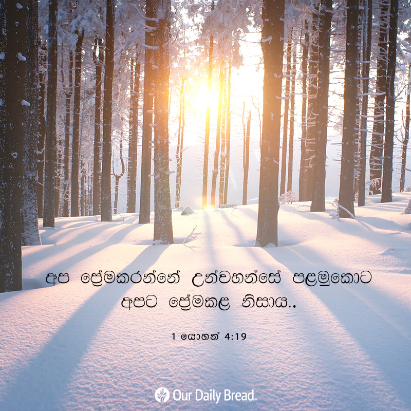 Share ODB 2018-12-14