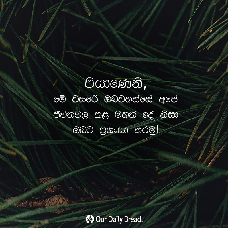 Share ODB 2018-12-15