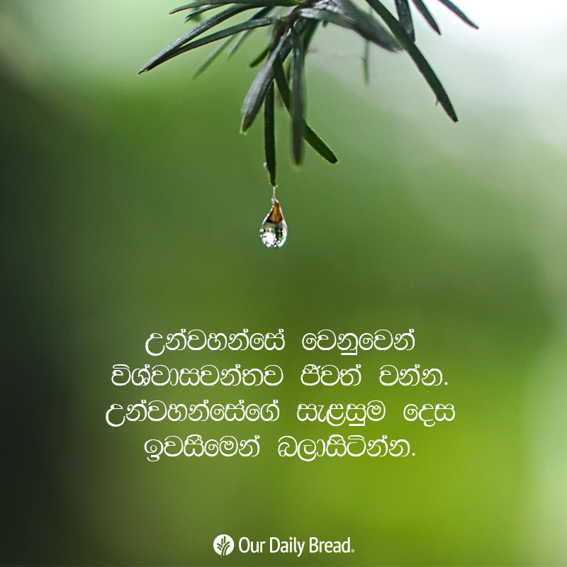 Share ODB 2018-12-17