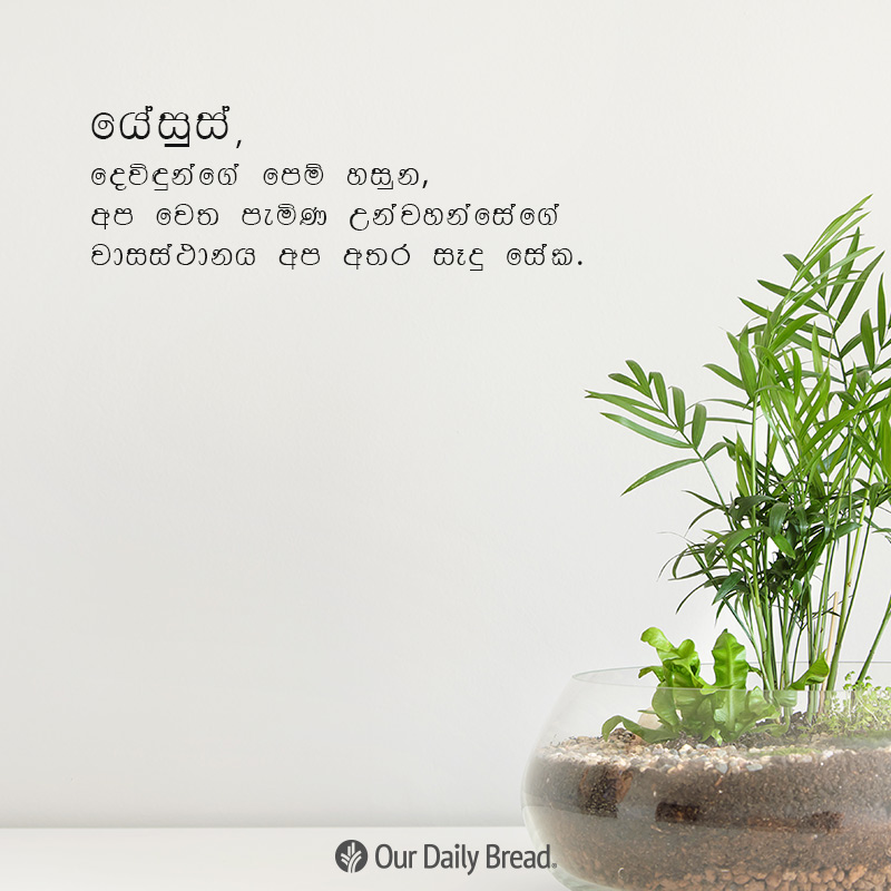 Share ODB 2018-12-19