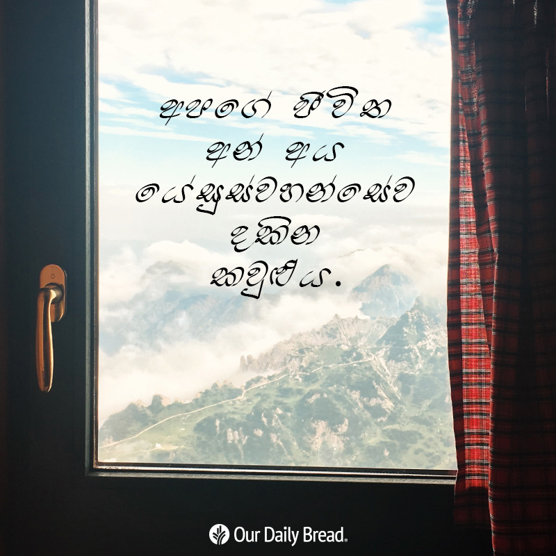 Share ODB 2018-12-20