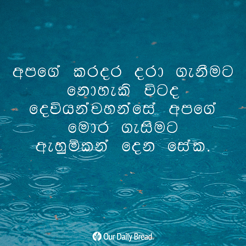 Share ODB 2018-12-22