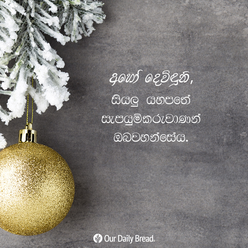 Share ODB 2018-12-23