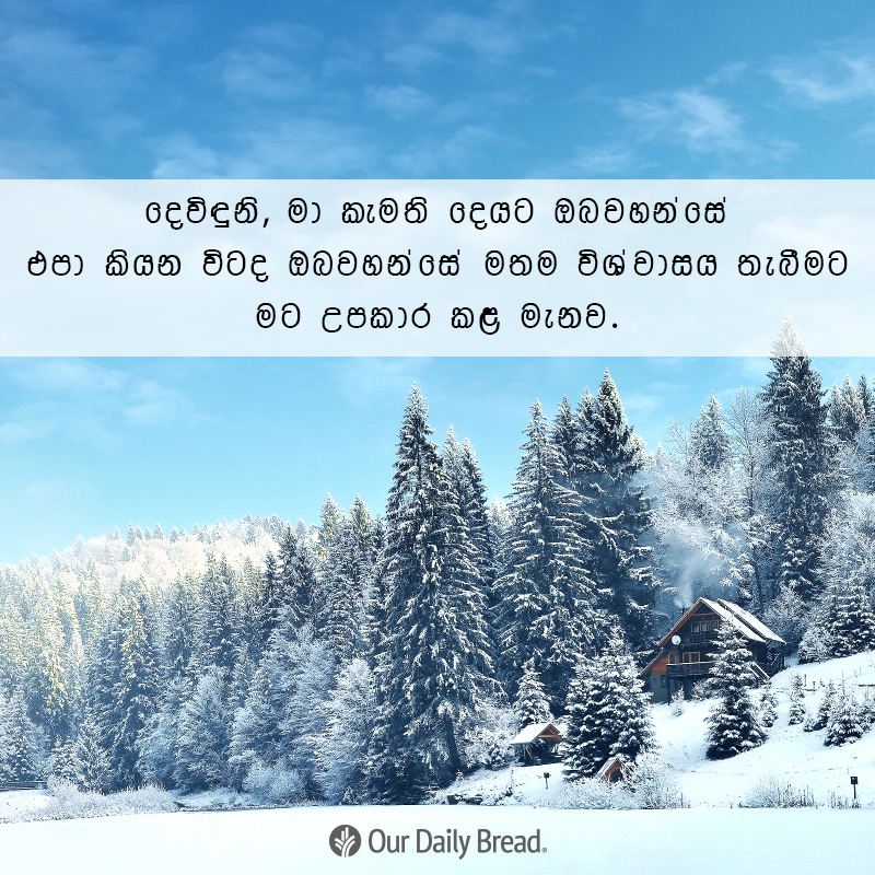 Share ODB 2018-12-29