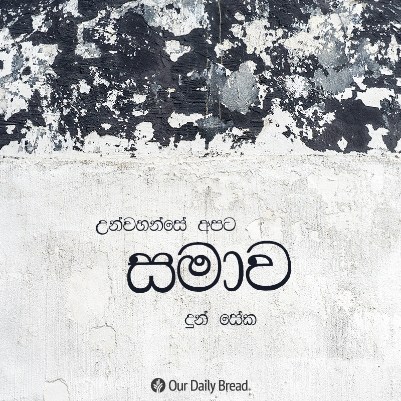 Share ODB 2019-02-01