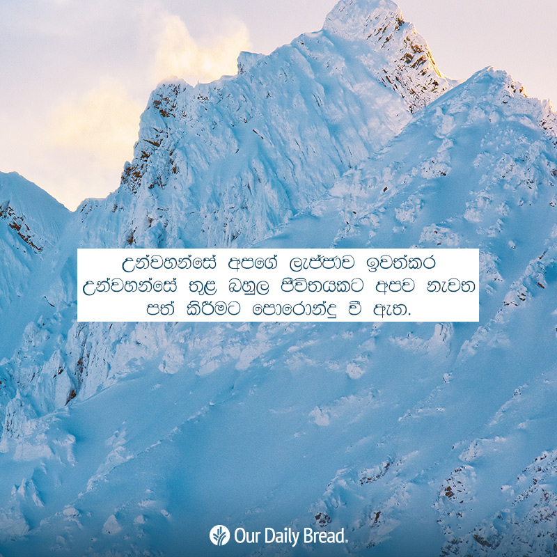 Share ODB 2019-02-02