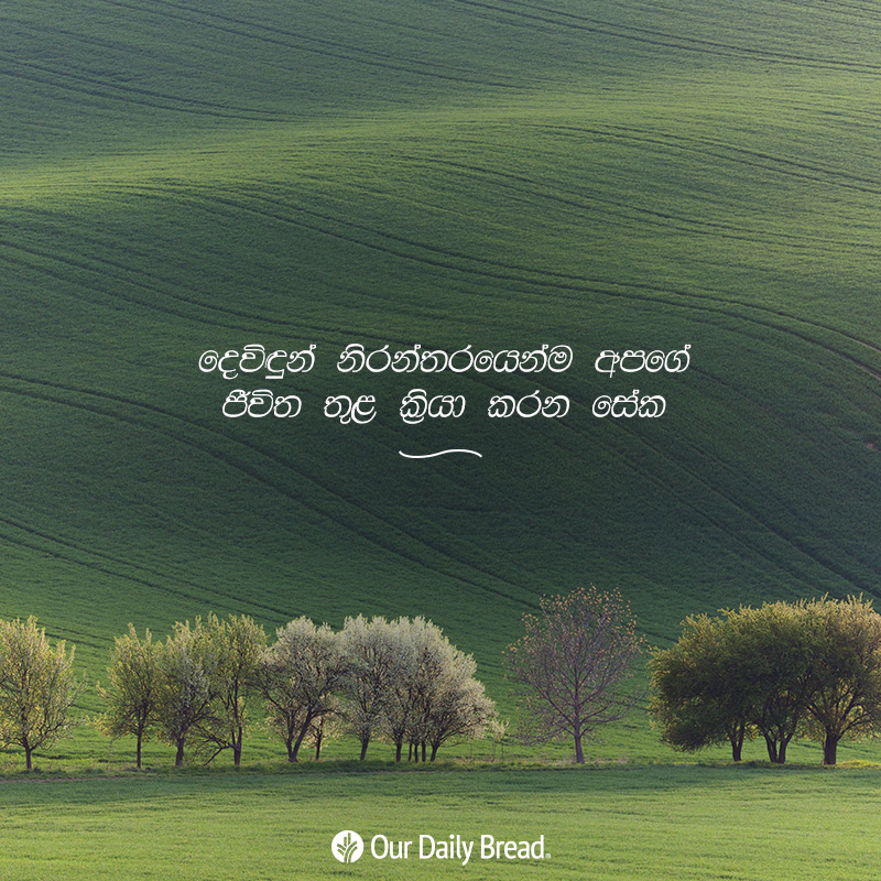 Share ODB 2019-02-03