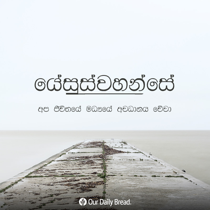 Share ODB 2019-02-04