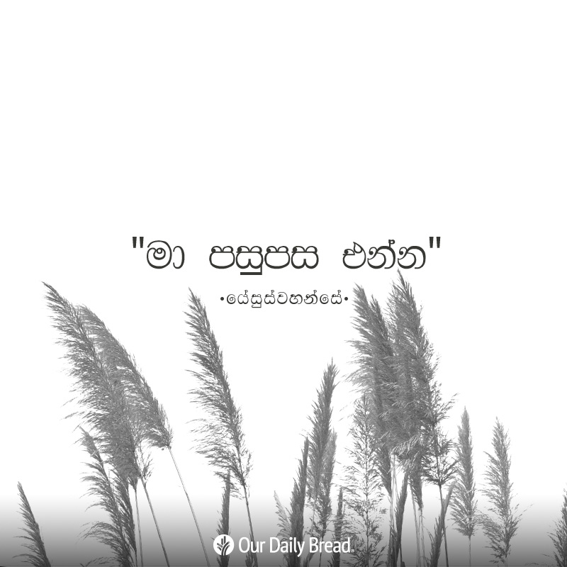 Share ODB 2019-02-05