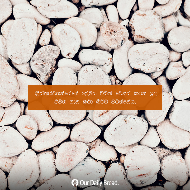 Share ODB 2019-02-06