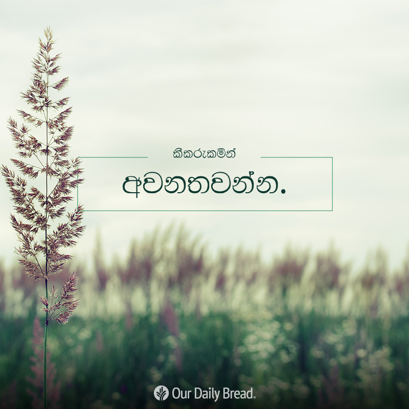 Share ODB 2019-02-07