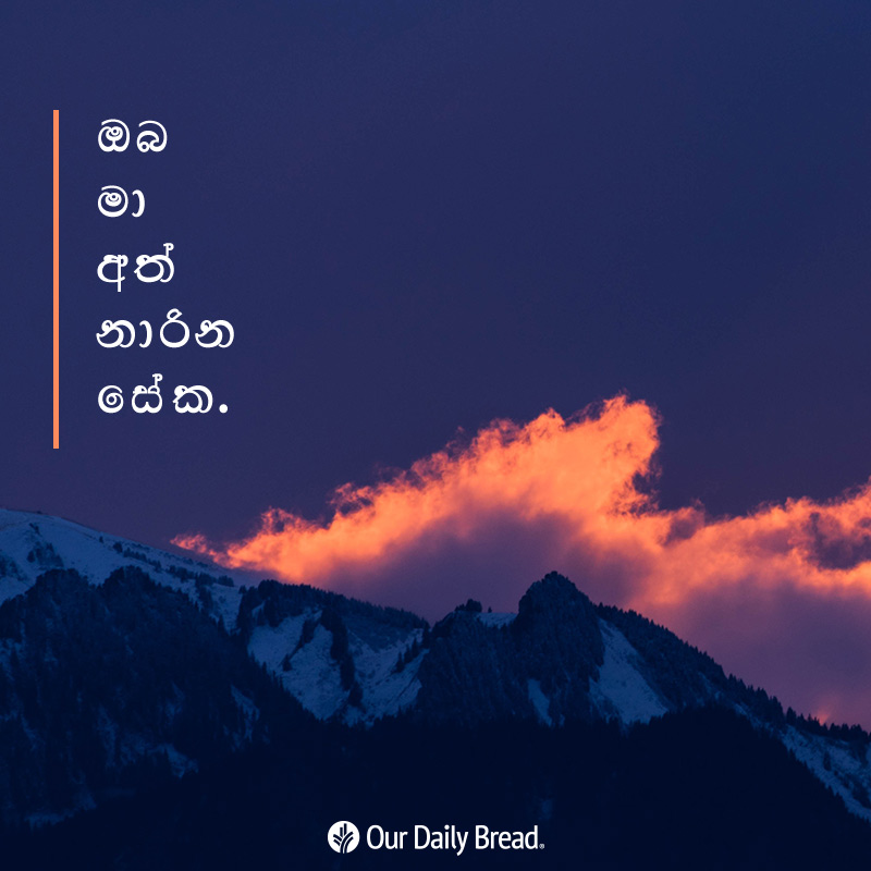 Share ODB 2019-02-08