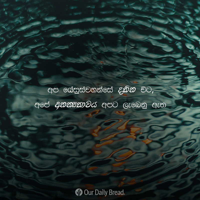 Share ODB 2019-02-09