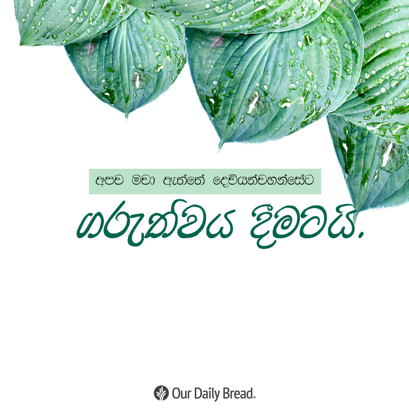 Share ODB 2019-02-11