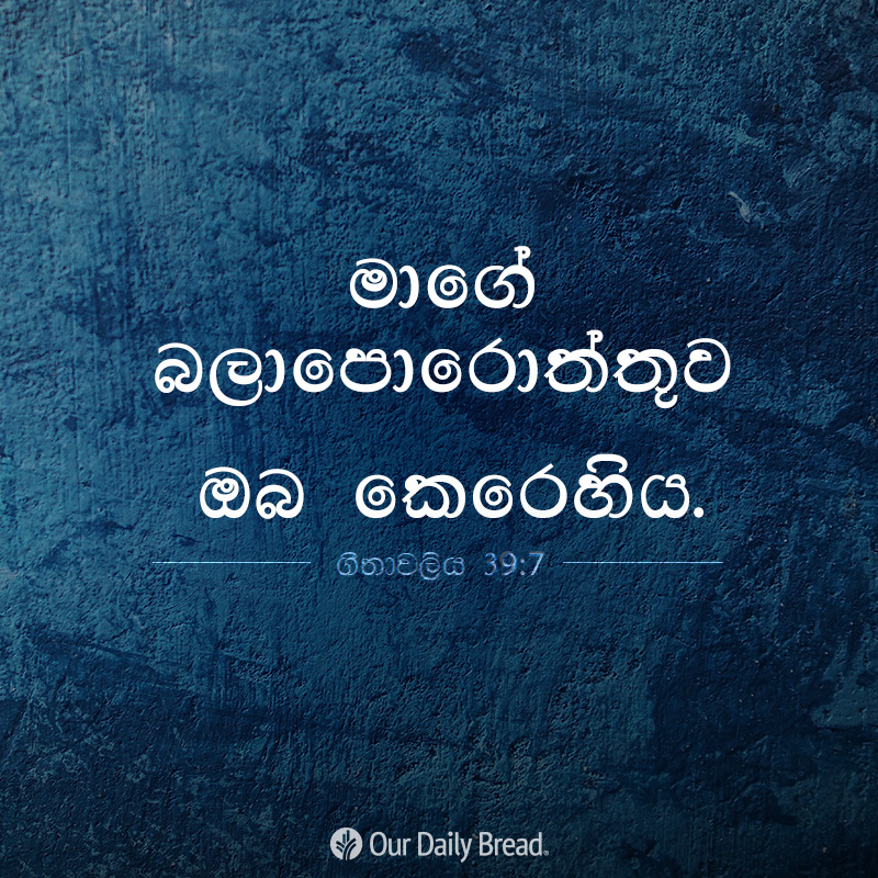 Share ODB 2019-02-13