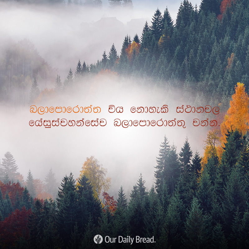 Share ODB 2019-02-14