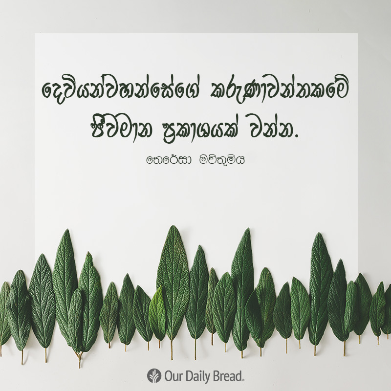 Share ODB 2019-02-16