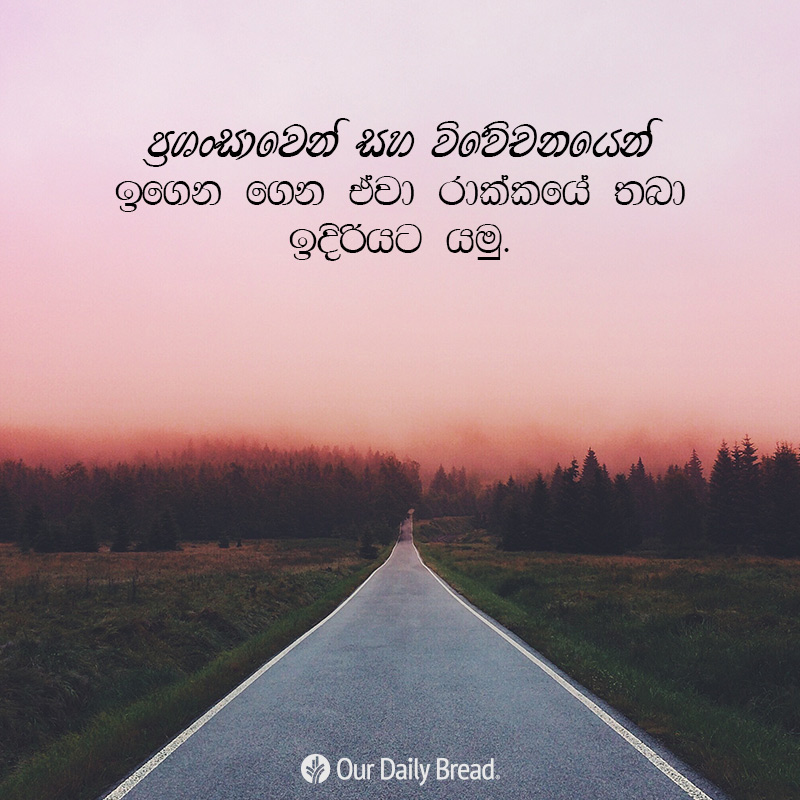 Share ODB 2019-02-19