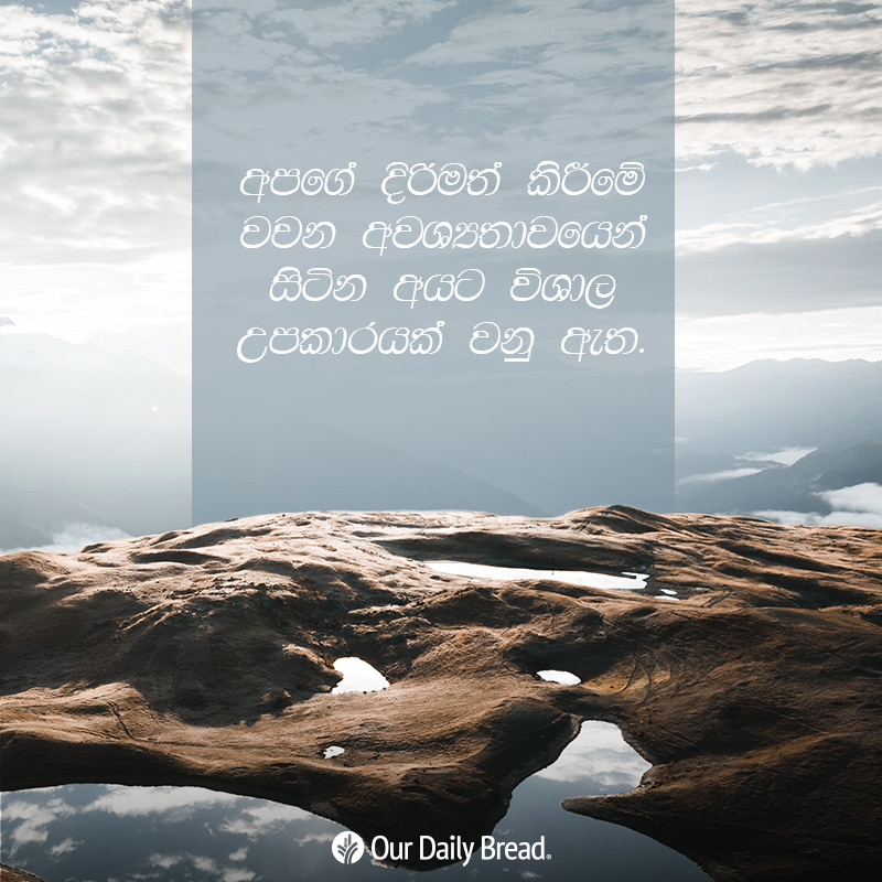 Share ODB 2019-02-20