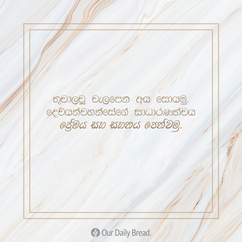 Share ODB 2019-02-23