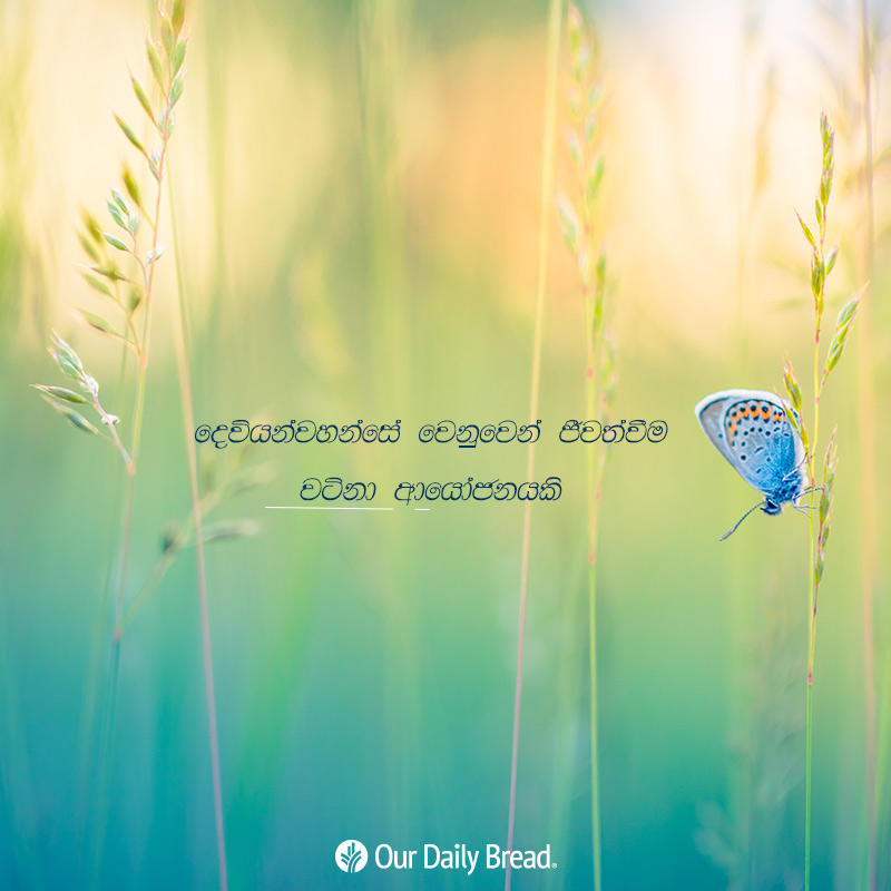 Share ODB 2019-03-06