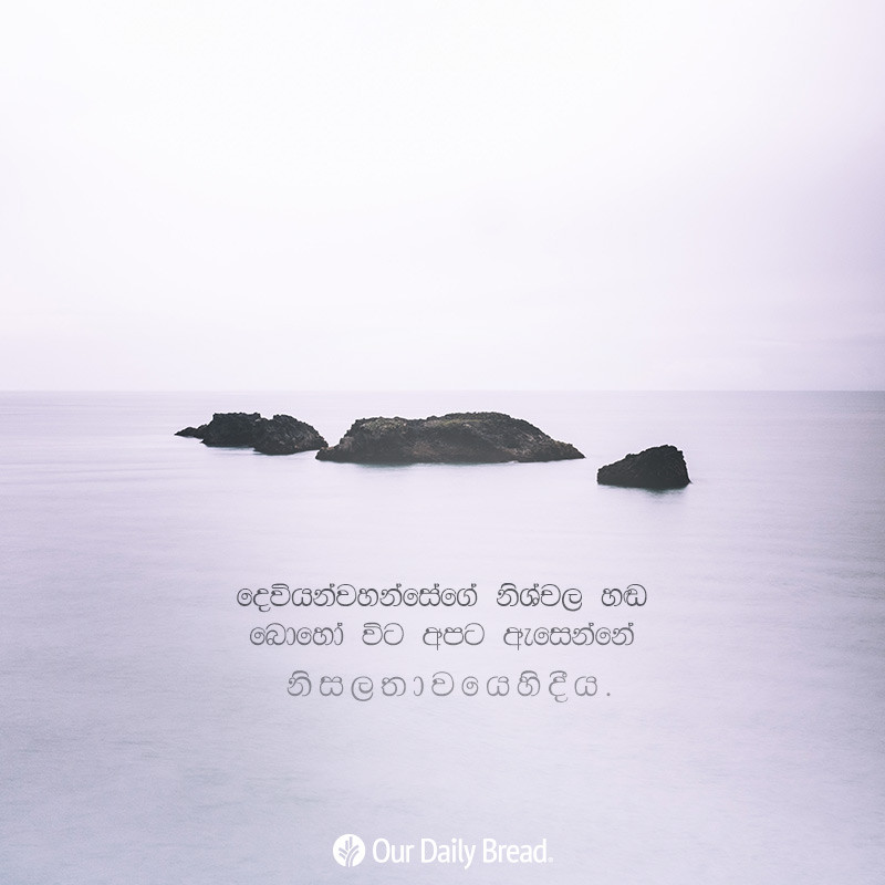 Share ODB 2019-03-07