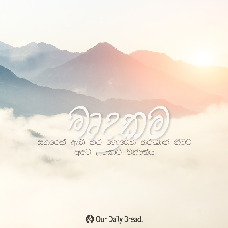 Share ODB 2019-03-08