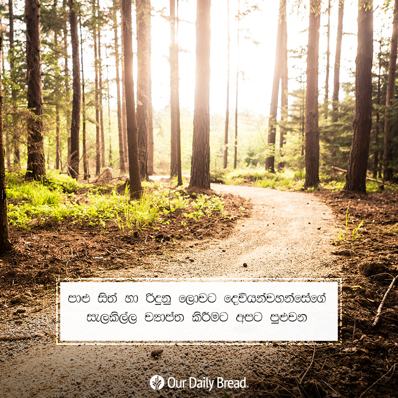 Share ODB 2019-03-09