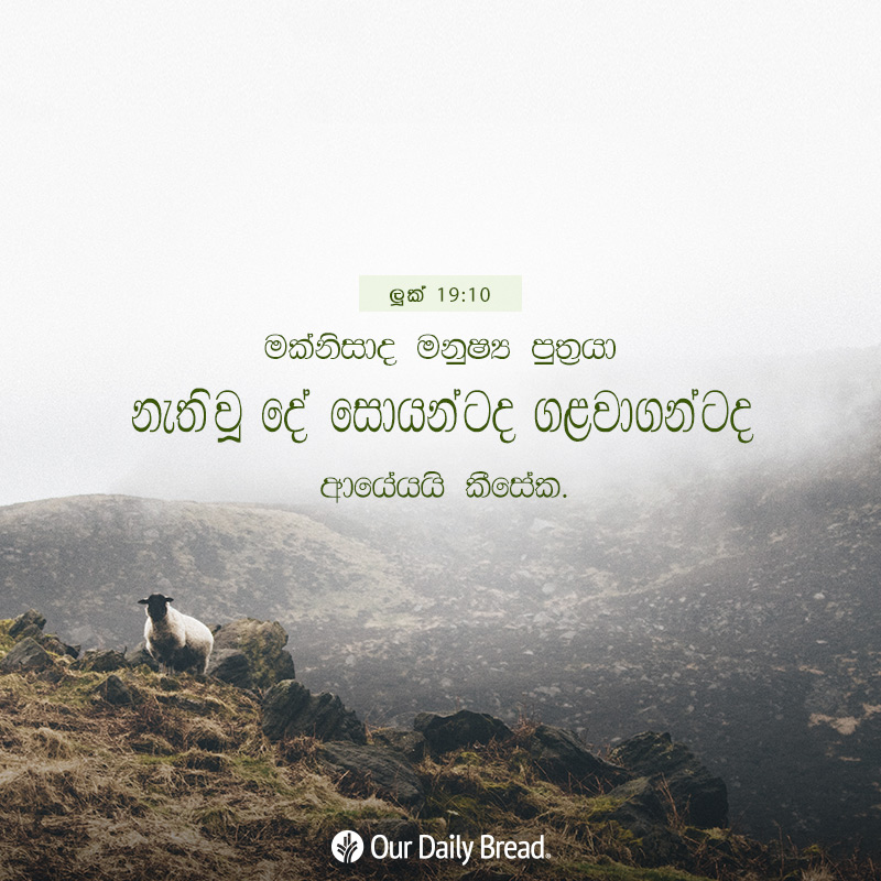 Share ODB 2019-03-10