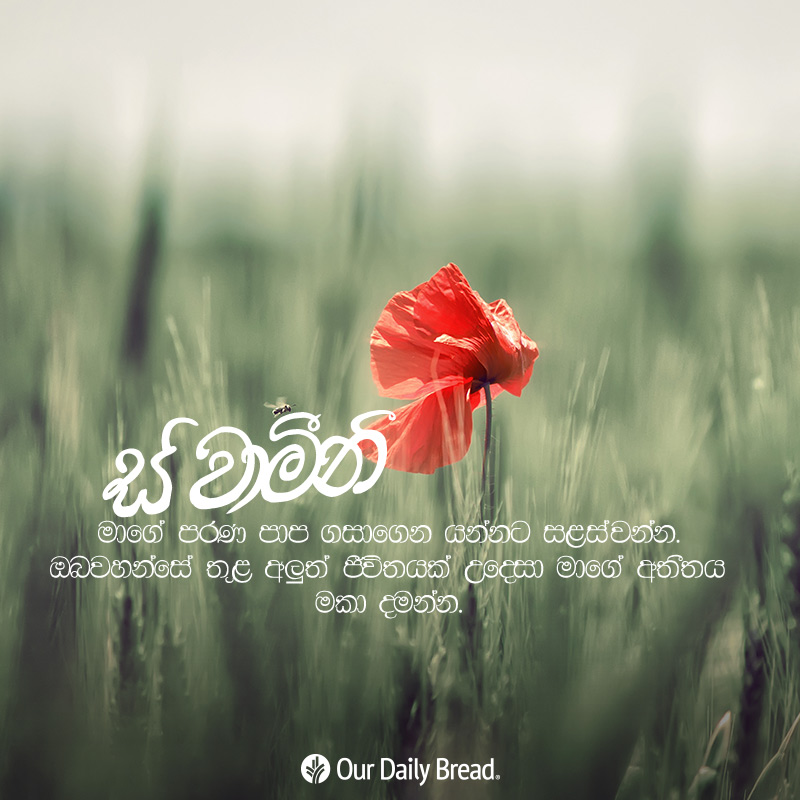 Share ODB 2019-03-11