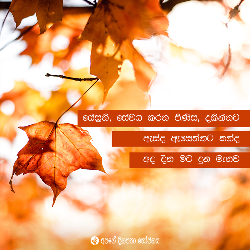 Share ODB 2020-11-01