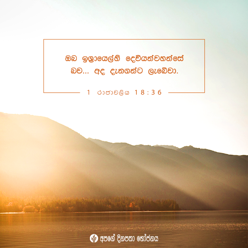 Share ODB 2020-11-02