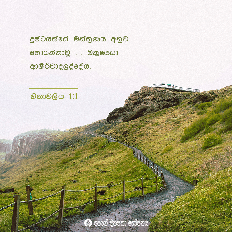 Share ODB 2020-11-03