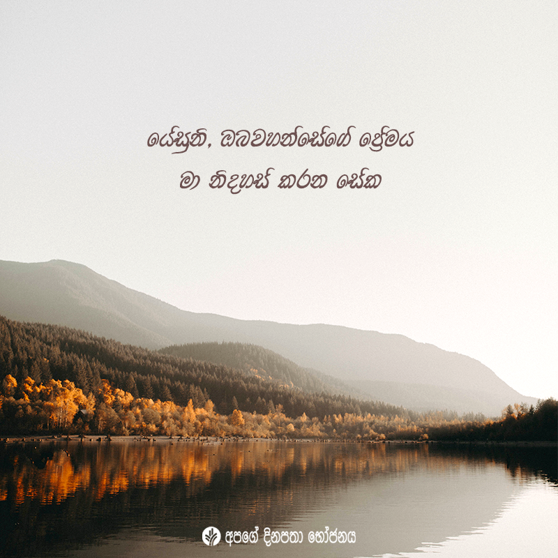 Share ODB 2020-11-04