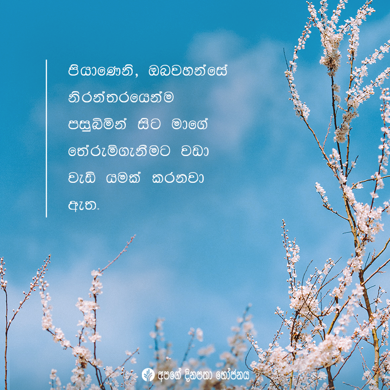 Share ODB 2020-11-05