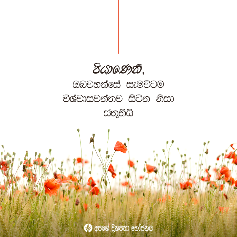 Share ODB 2020-11-08