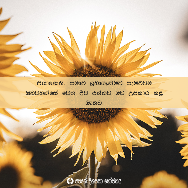 Share ODB 2020-11-10